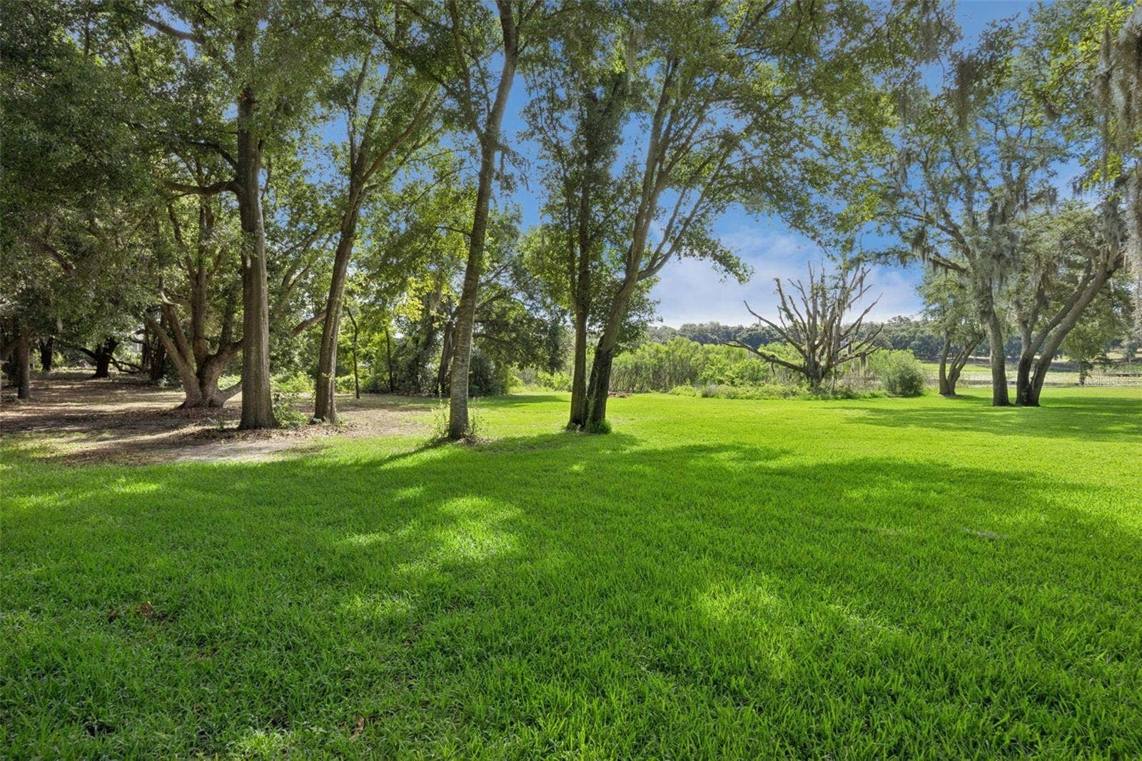 605 OLD MOUNT DORA ROAD, Eustis, FL 32726 605 OLD MOUNT DORA ROAD, Eustis, FL 32726