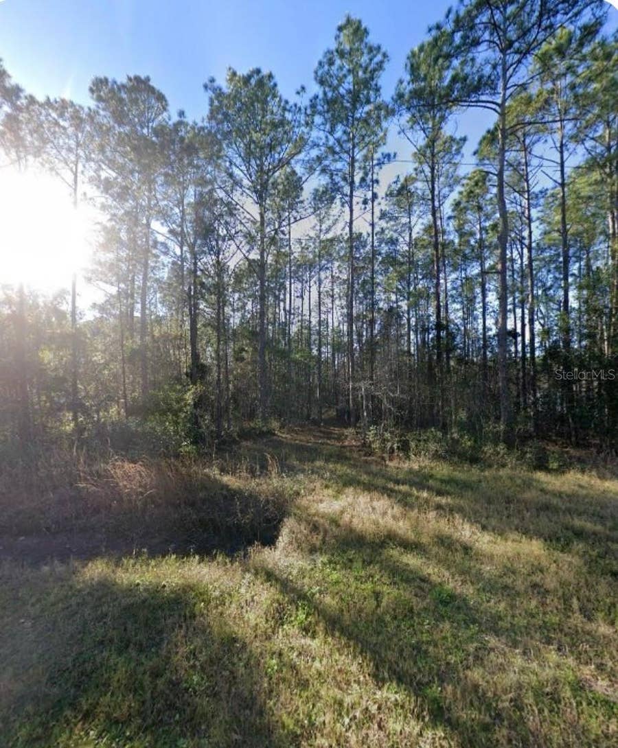 Property photo for 9930 CROTTY AVENUE, Hastings, FL