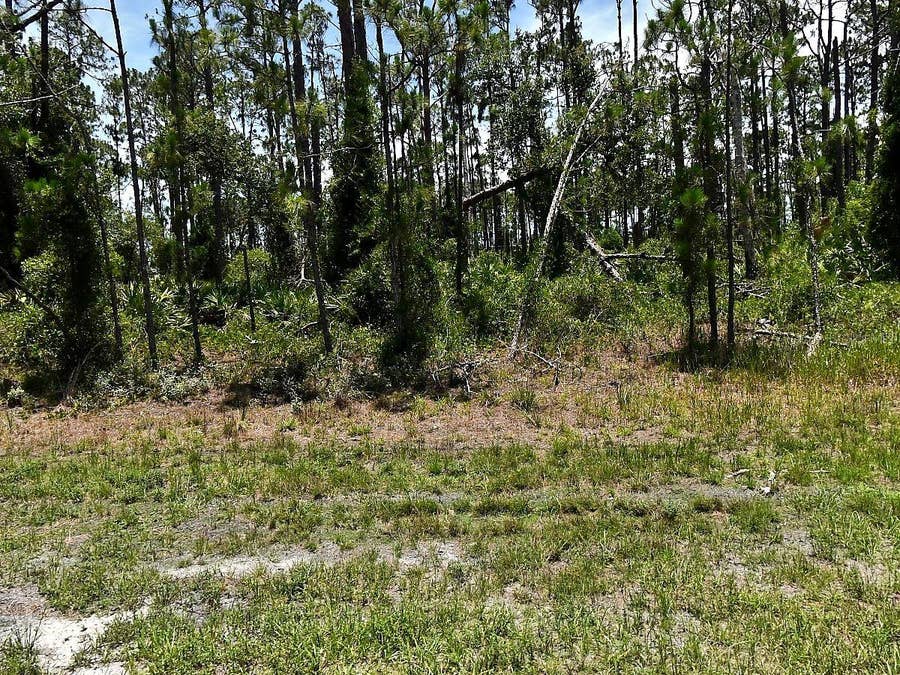 Property photo for TROPICAIRE BOULEVARD, North Port, FL