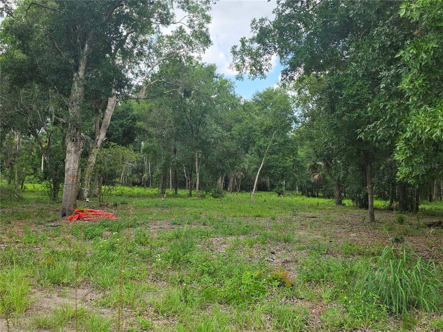 Property photo for 180 OAK DRIVE, Osteen, FL