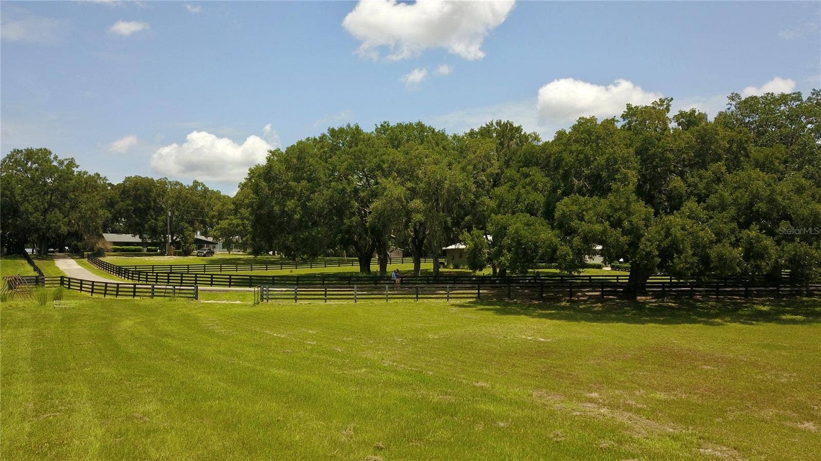 16945 W PHIL C PETERS ROAD, Winter Garden, FL 34787 16945 W PHIL C PETERS ROAD, Winter Garden, FL 34787