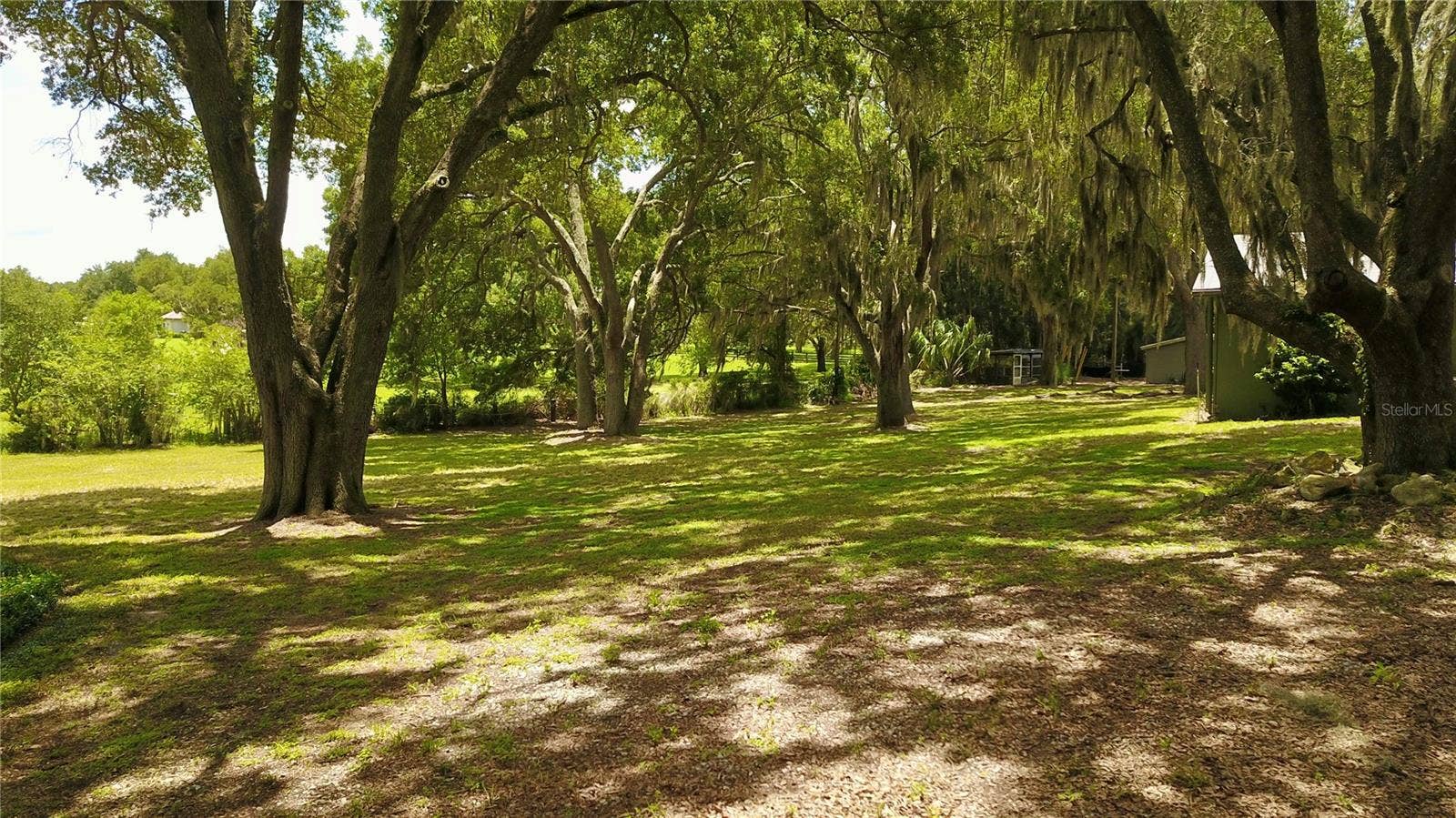 16945 W PHIL C PETERS ROAD, Winter Garden, FL 34787 16945 W PHIL C PETERS ROAD, Winter Garden, FL 34787