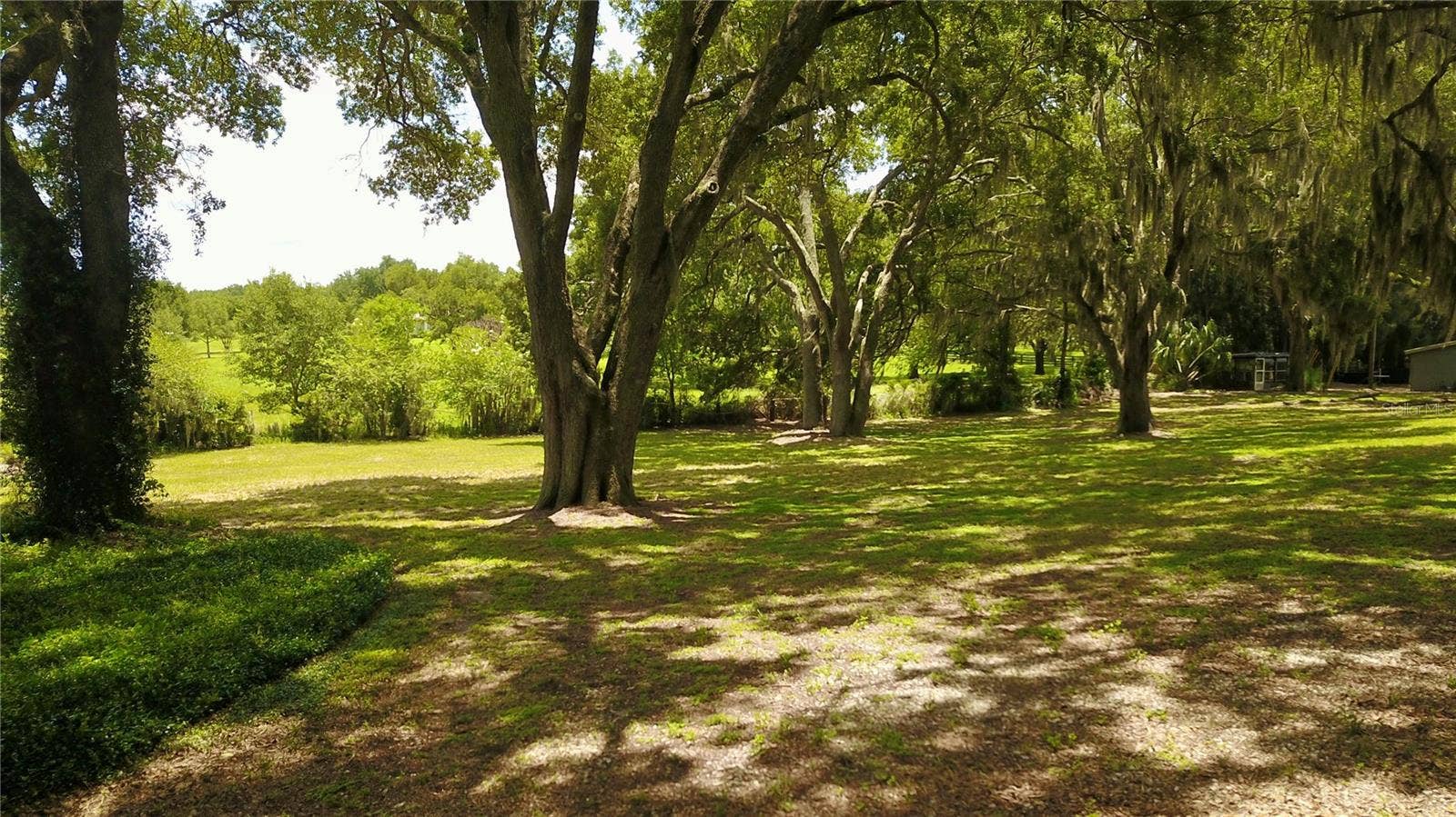 16945 W PHIL C PETERS ROAD, Winter Garden, FL 34787 16945 W PHIL C PETERS ROAD, Winter Garden, FL 34787