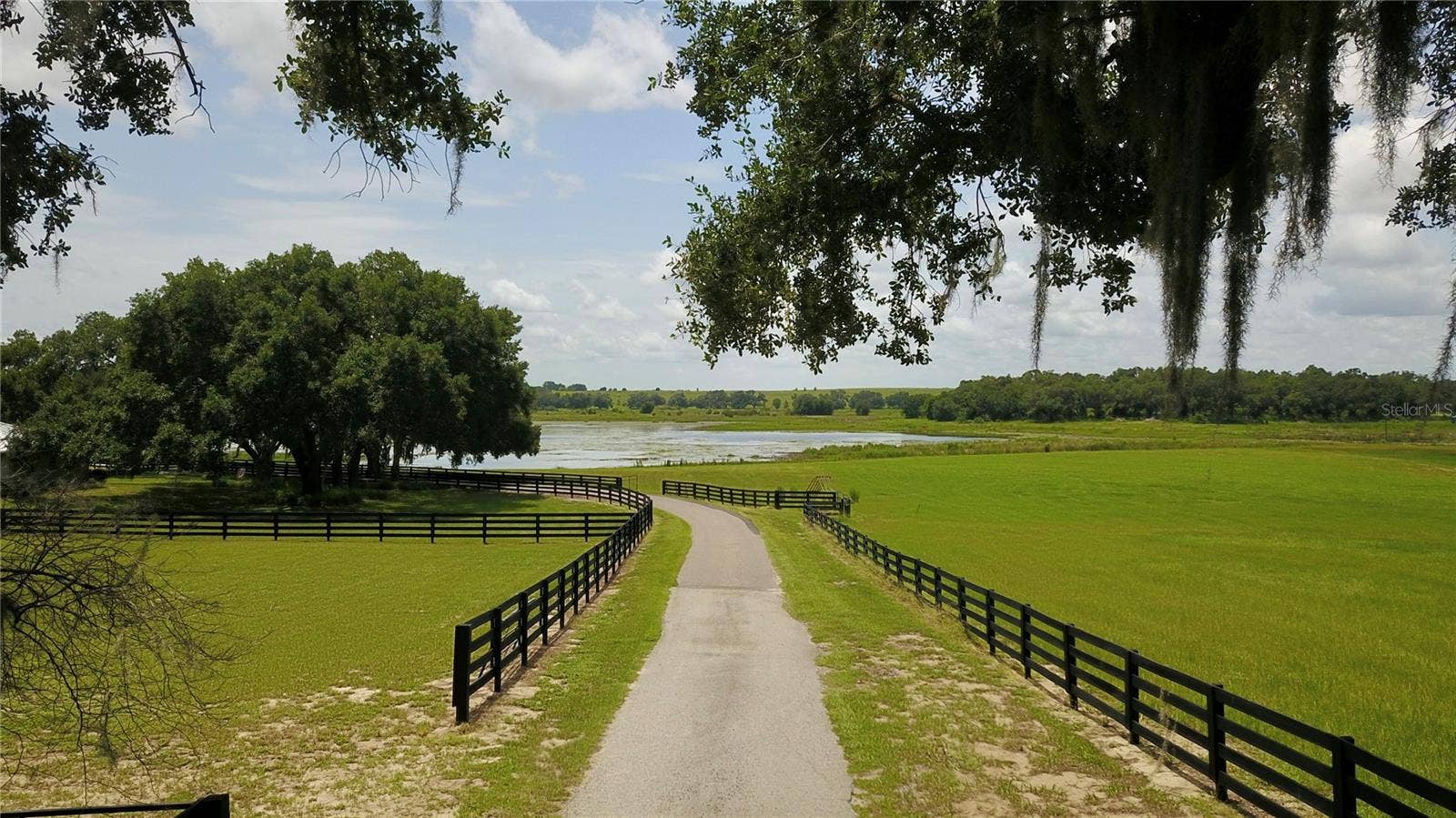 16945 W PHIL C PETERS ROAD, Winter Garden, FL 34787 16945 W PHIL C PETERS ROAD, Winter Garden, FL 34787