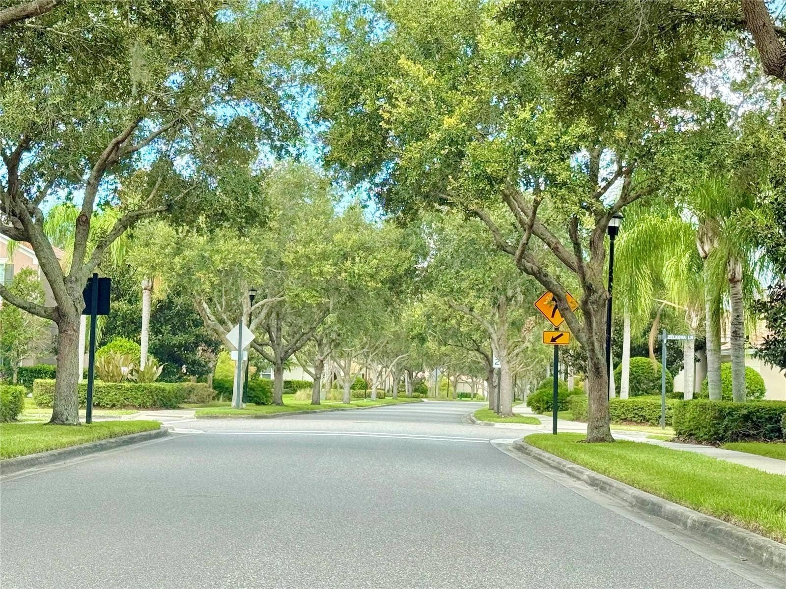 11848 ZELKOVA LANE, Orlando, FL 32827 11848 ZELKOVA LANE, Orlando, FL 32827