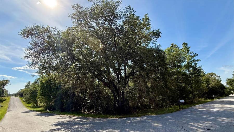 Property photo for UNDETERMINED, Dunnellon, FL