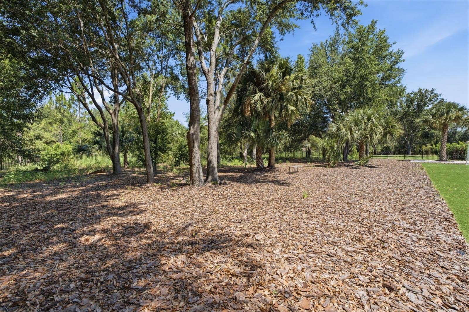 15800 PENDIO DRIVE, Bella Collina, FL 34756 15800 PENDIO DRIVE, Bella Collina, FL 34756