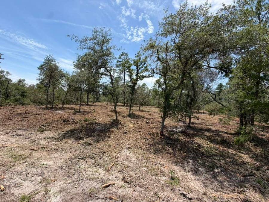 Property photo for FISHER WAY TRACK, Ocklawaha, FL