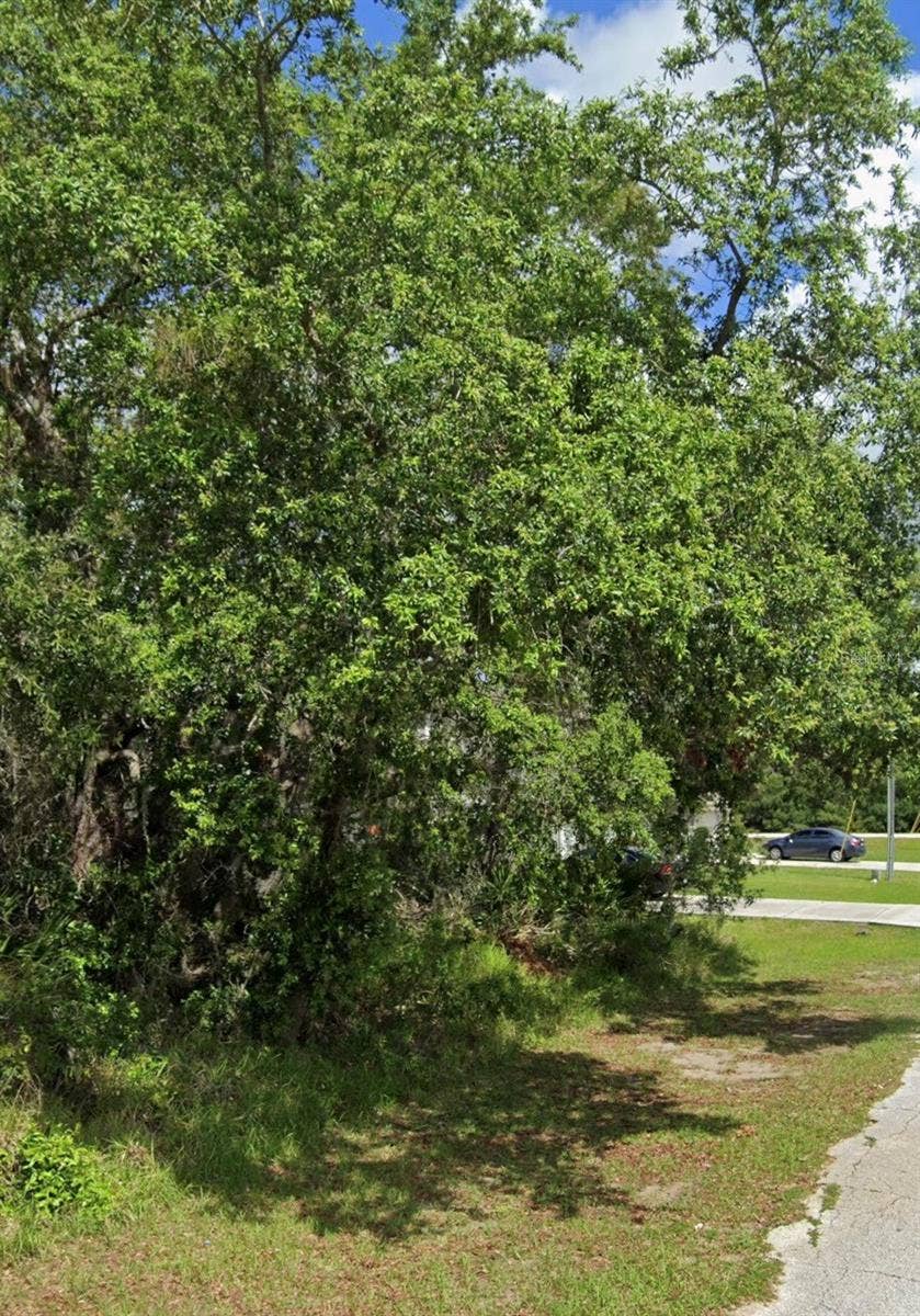 Property photo for 1504 ELOISE COURT, Kissimmee, FL