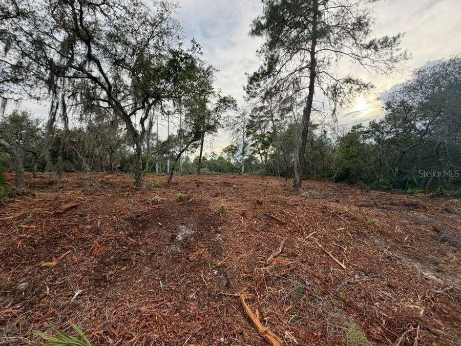 Property photo for SEQUOIA TRAIL, Ocklawaha, FL