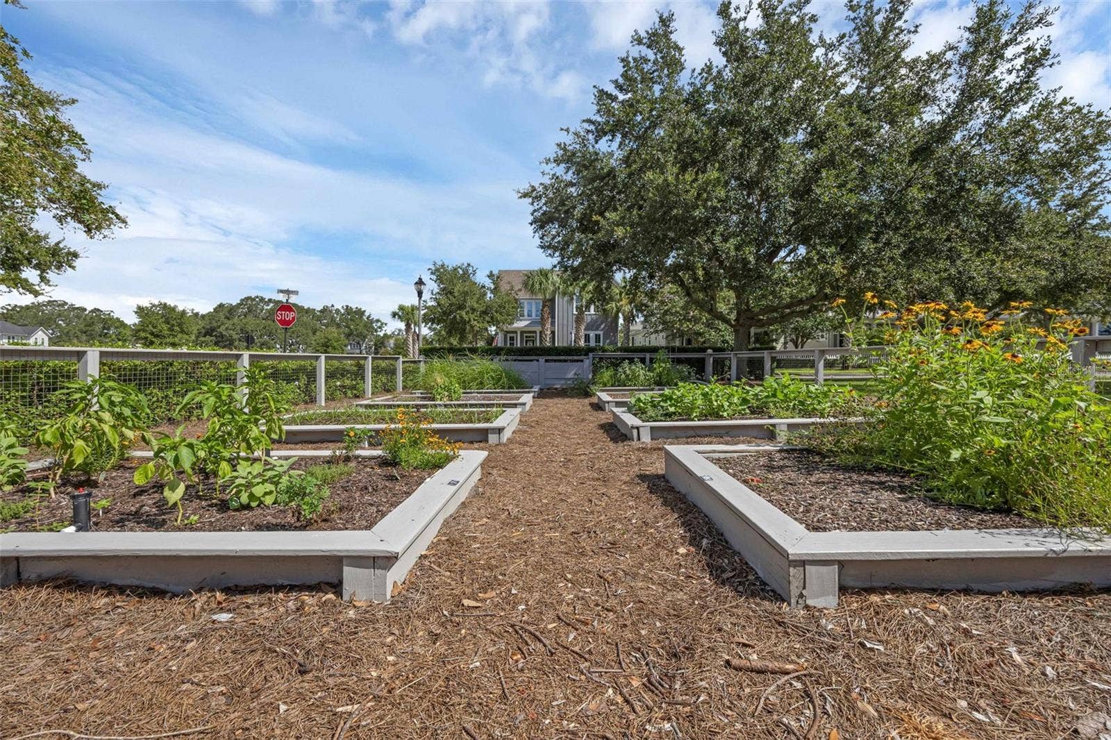 844 OAKLAND PARK BOULEVARD, Winter Garden, FL 34787 Community Garden