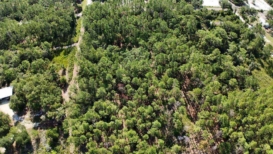 Property photo for XX SW 156TH PLACE, Dunnellon, FL