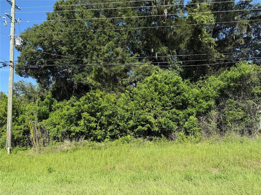 Property photo for SE 35TH COURT, Summerfield, FL