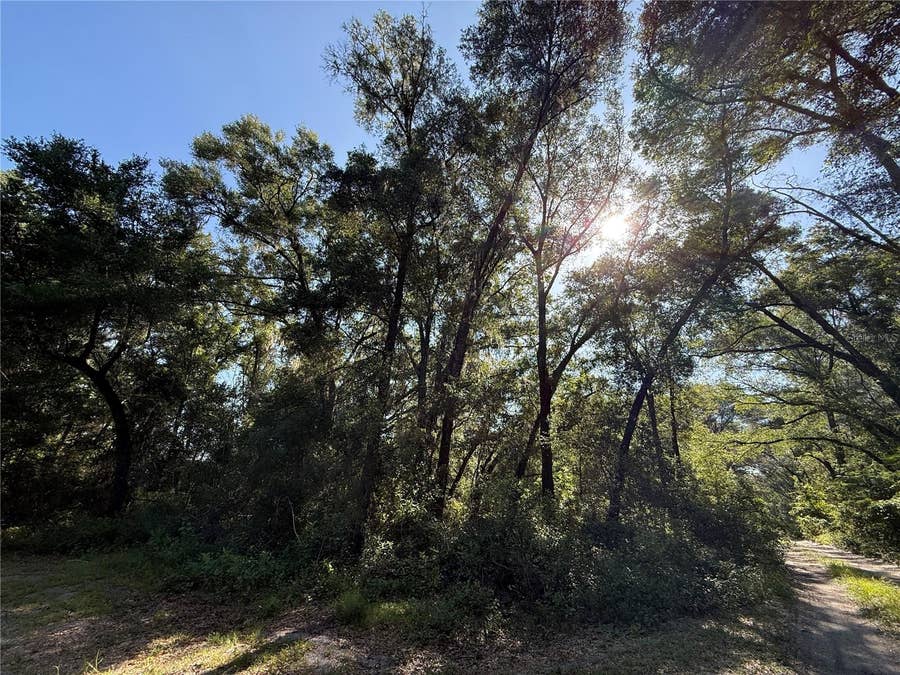Property photo for XX SE 147TH COURT, Summerfield, FL