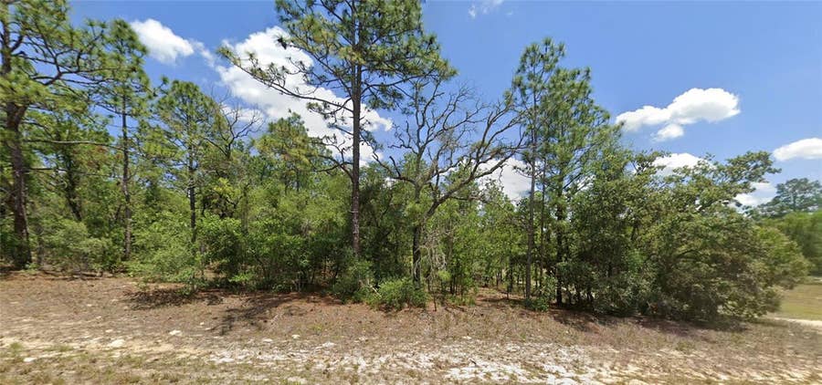Property photo for 9857 N LATHYRUS TERRACE, Dunnellon, FL