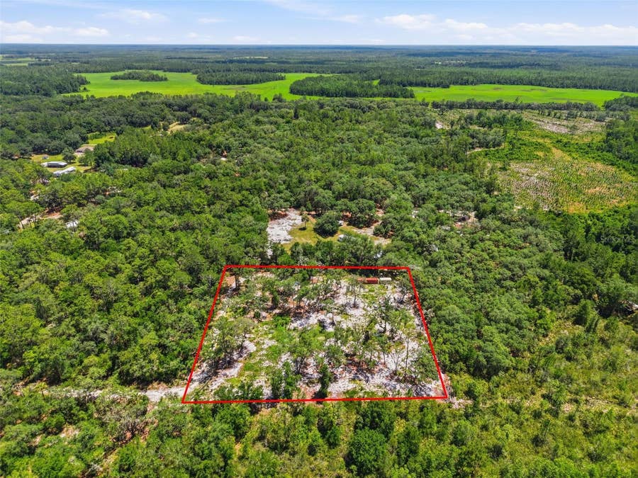 Property photo for 6900 NE 195TH STREET, Citra, FL