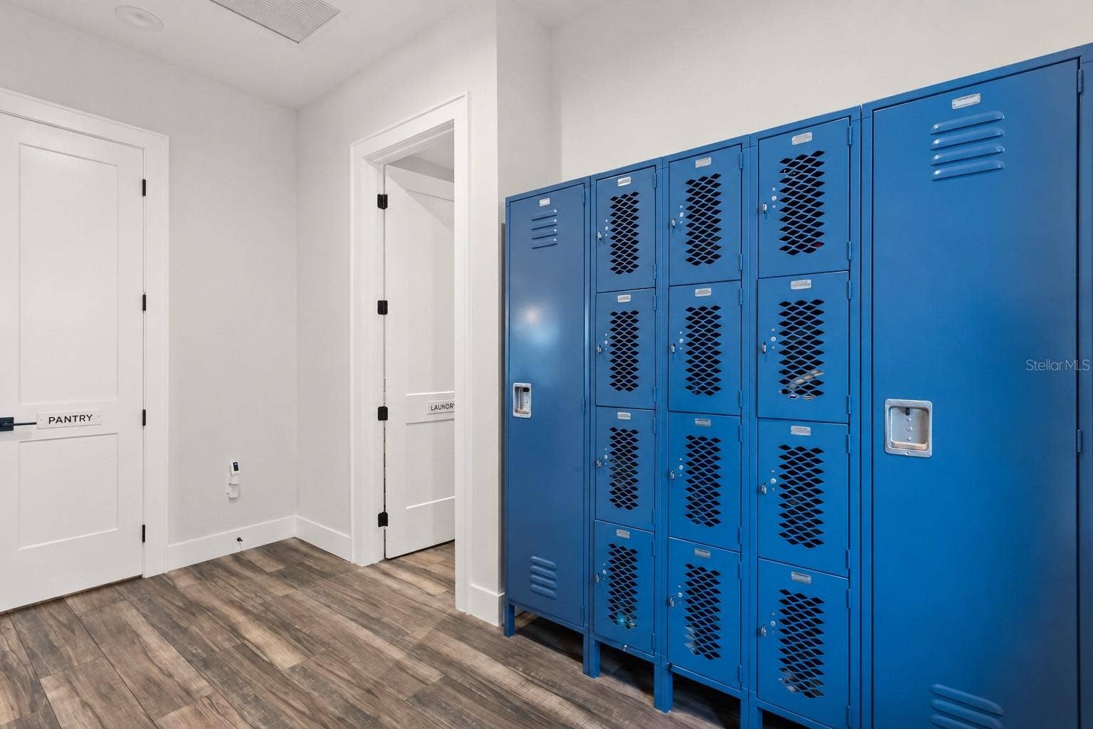 907 CELADON STREET, Winter Garden, FL 34787 Family after school lockers off the mud room side entrance. Pantry (left), laundry room (right)
