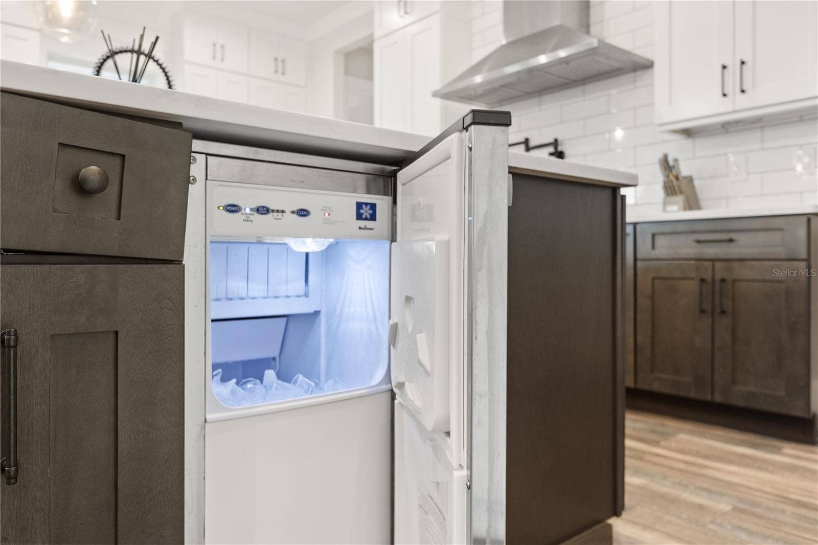 907 CELADON STREET, Winter Garden, FL 34787 Dedicated ice maker.