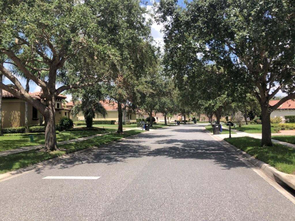 1238 LAKE WHITNEY DRIVE, Windermere, FL 34786 Street/neighborhood