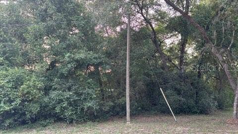 Property photo for SE 11TH STREET, Silver Springs, FL