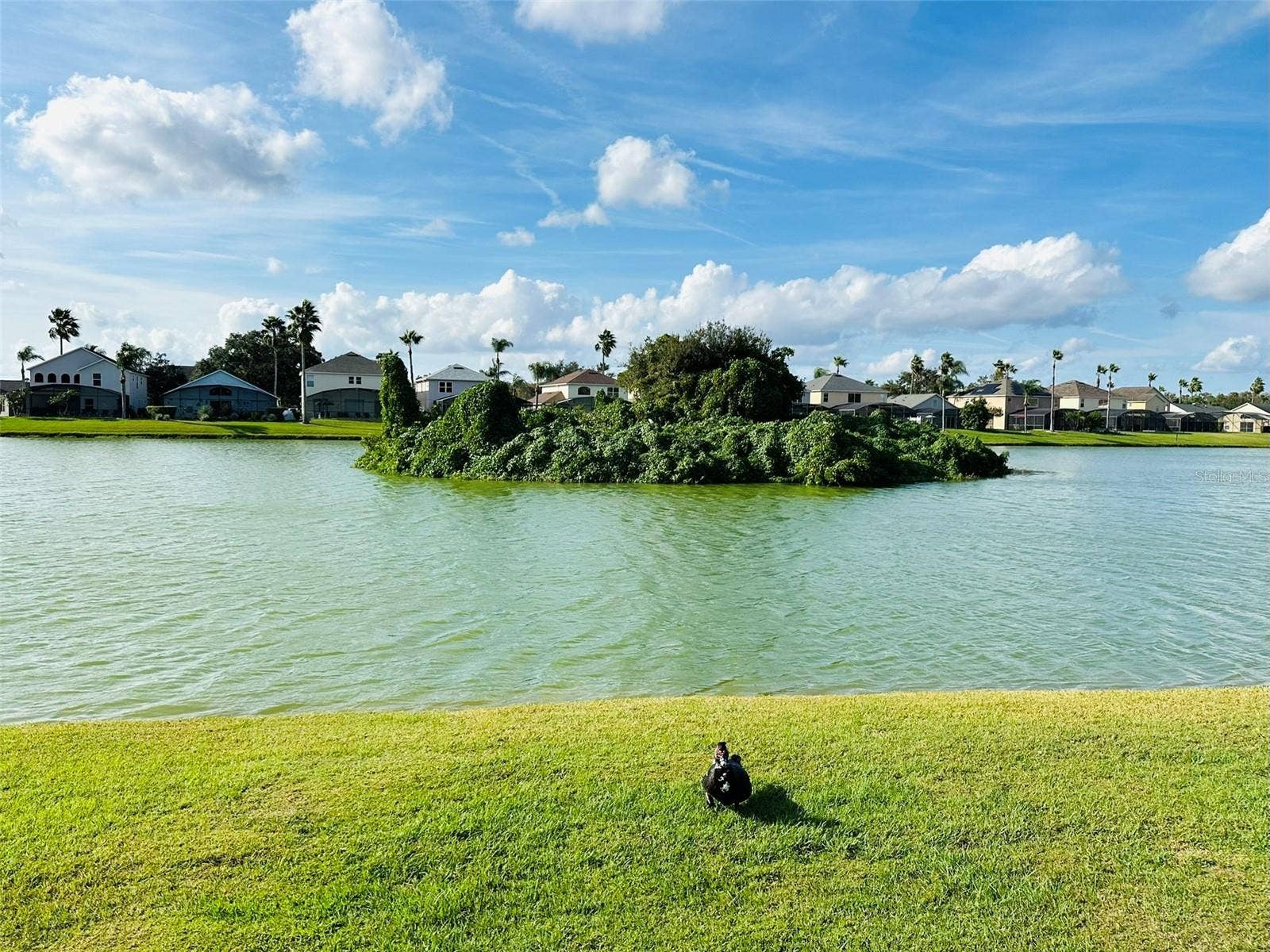 1049 LAKE BERKLEY DRIVE, Kissimmee, FL 34746 1049 LAKE BERKLEY DRIVE, Kissimmee, FL 34746