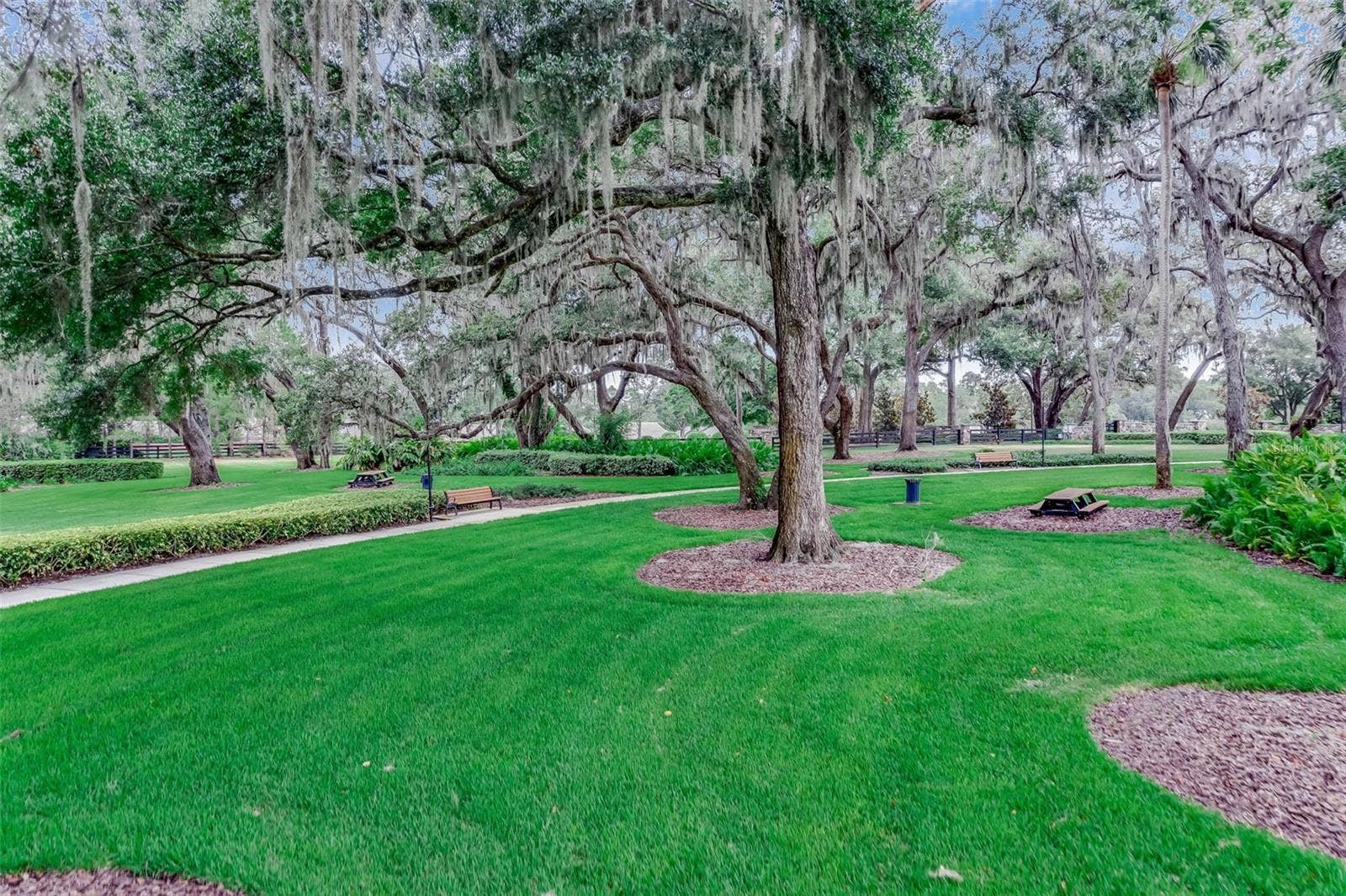 1417 OIL LAMP COVE, Lake Mary, FL 32746 1417 OIL LAMP COVE, Lake Mary, FL 32746