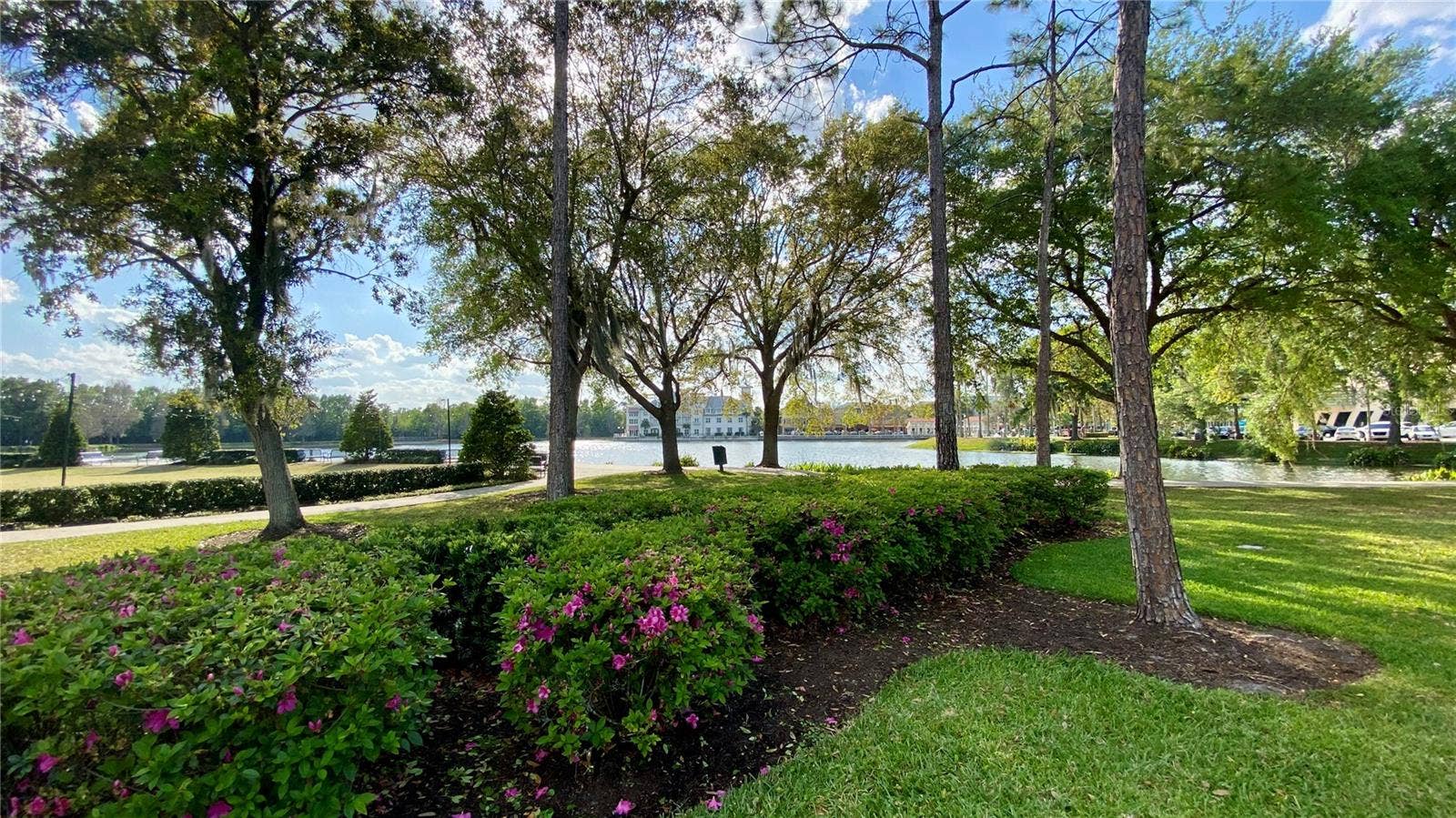 807 OAK SHADOWS ROAD, Celebration, FL 34747 807 OAK SHADOWS ROAD, Celebration, FL 34747