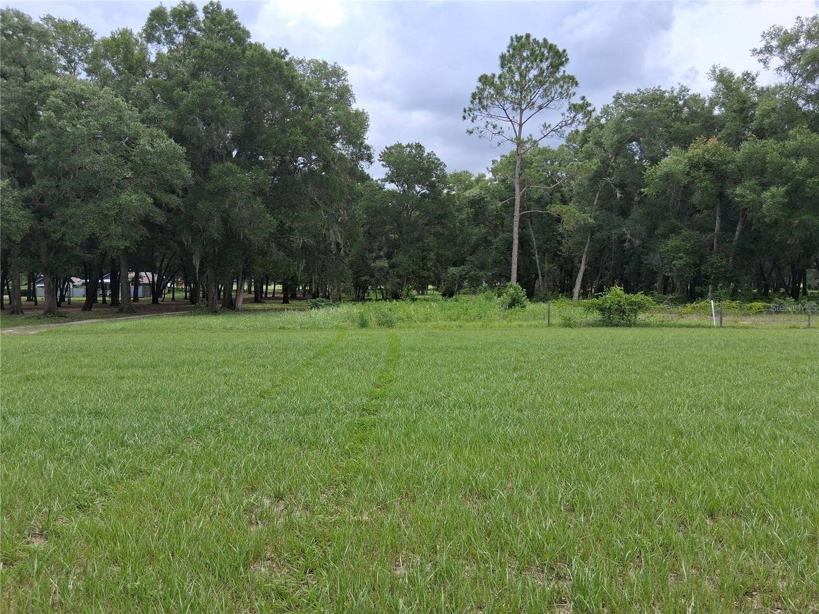 GRASS ROOTS ROAD, Groveland, FL 34736