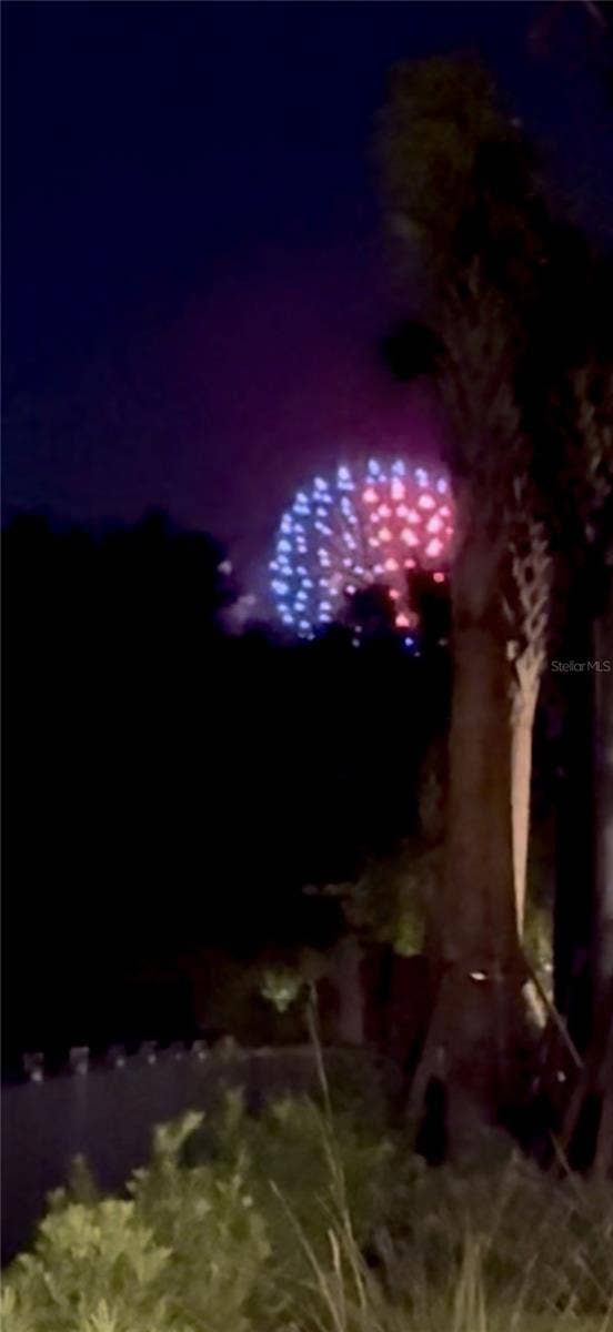 10331 WINTER SPARKLE CIRCLE, Golden Oak, FL 32836 Fireworks View from rear of property!