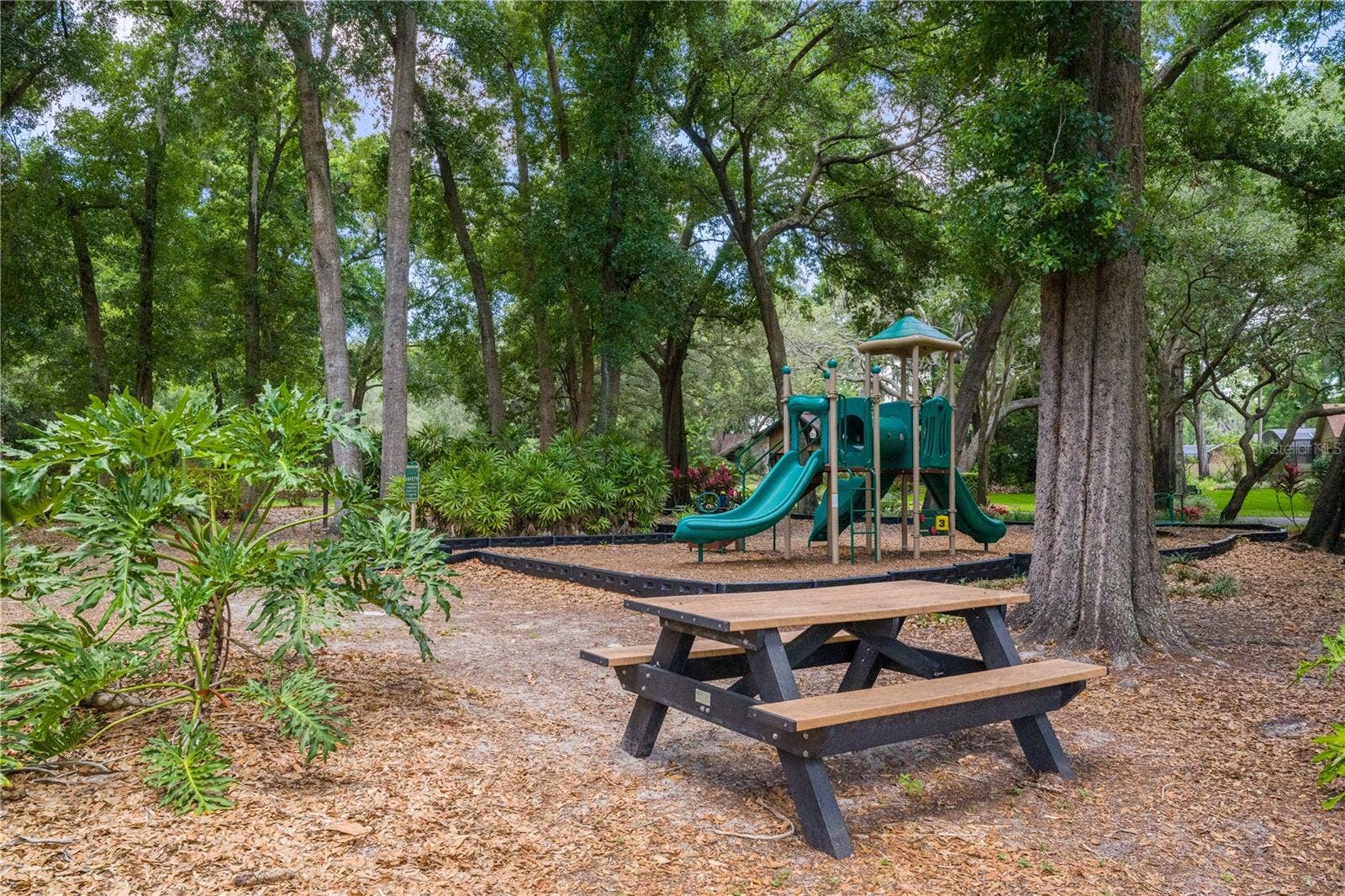 2009 WOODY DRIVE, Windermere, FL 34786 2009 WOODY DRIVE, Windermere, FL 34786