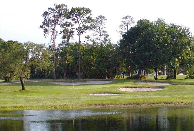 Wekiva Hunt Club Golf!