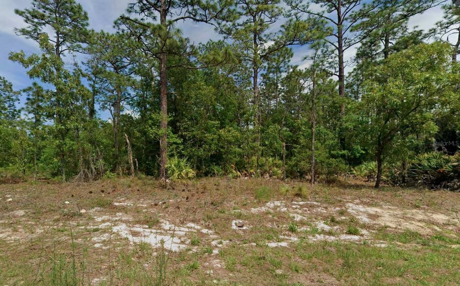 Property photo for 6977 N FOXDALE DRIVE, Citrus Springs, FL