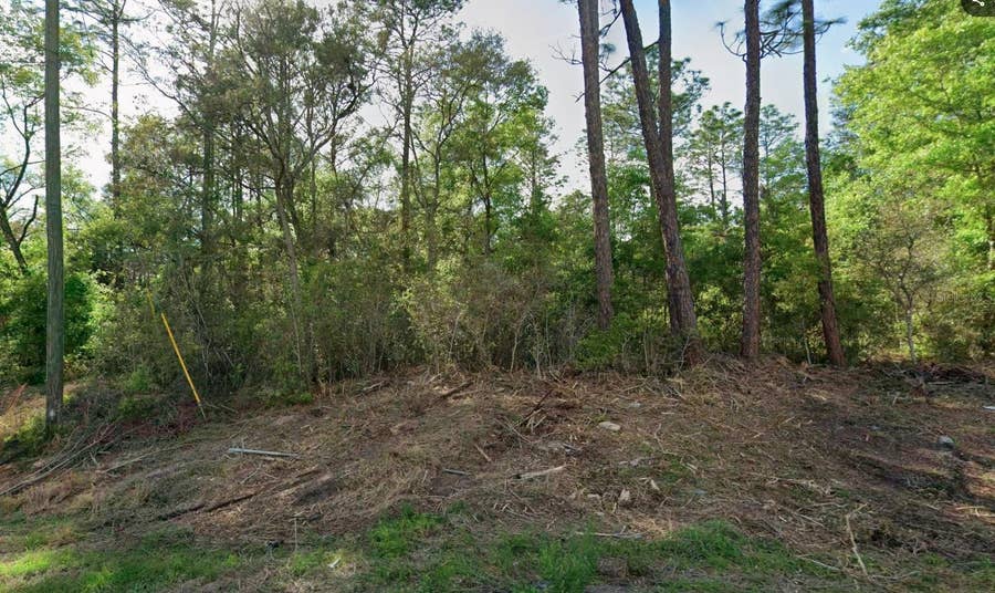 Property photo for 10814 N HATARI DRIVE, Citrus Springs, FL