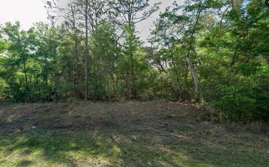 Property photo for 10830 N HATARI DRIVE, Citrus Springs, FL