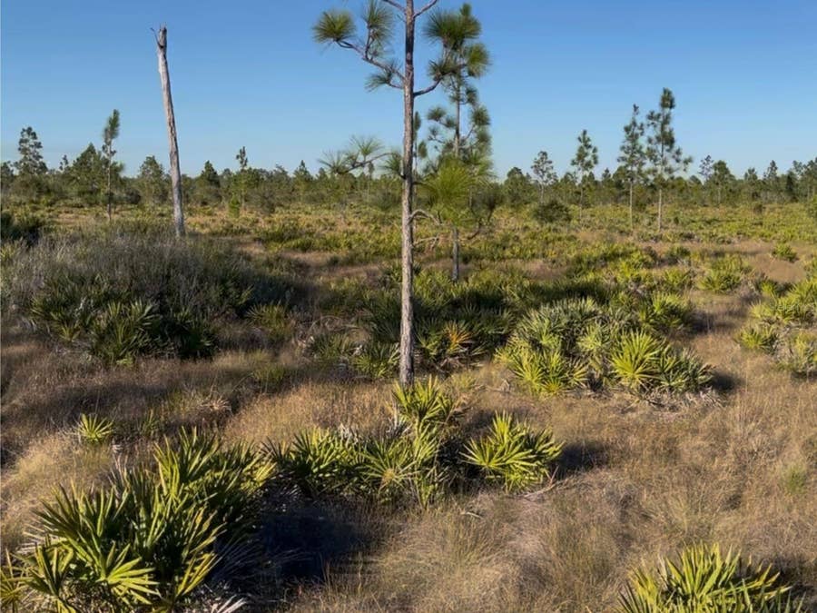 Property photo for HOLOPAW GROVES ROAD, St Cloud, FL