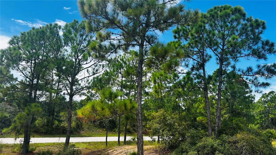 Property photo for 486 DREAMLAND DRIVE, Lake Placid, FL