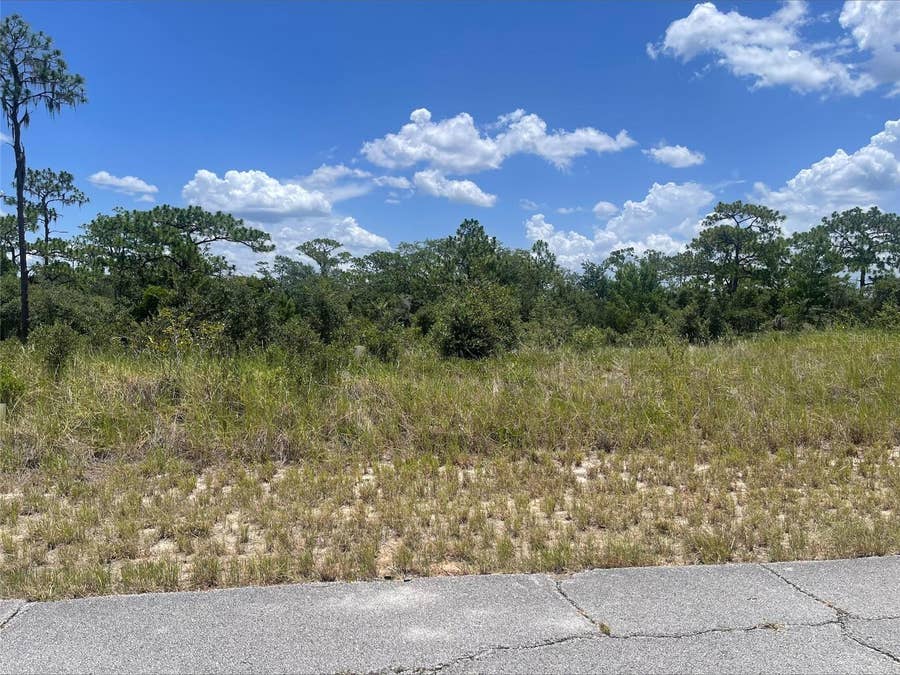 Property photo for 1340 HOMOSASSA COURT, Kissimmee, FL
