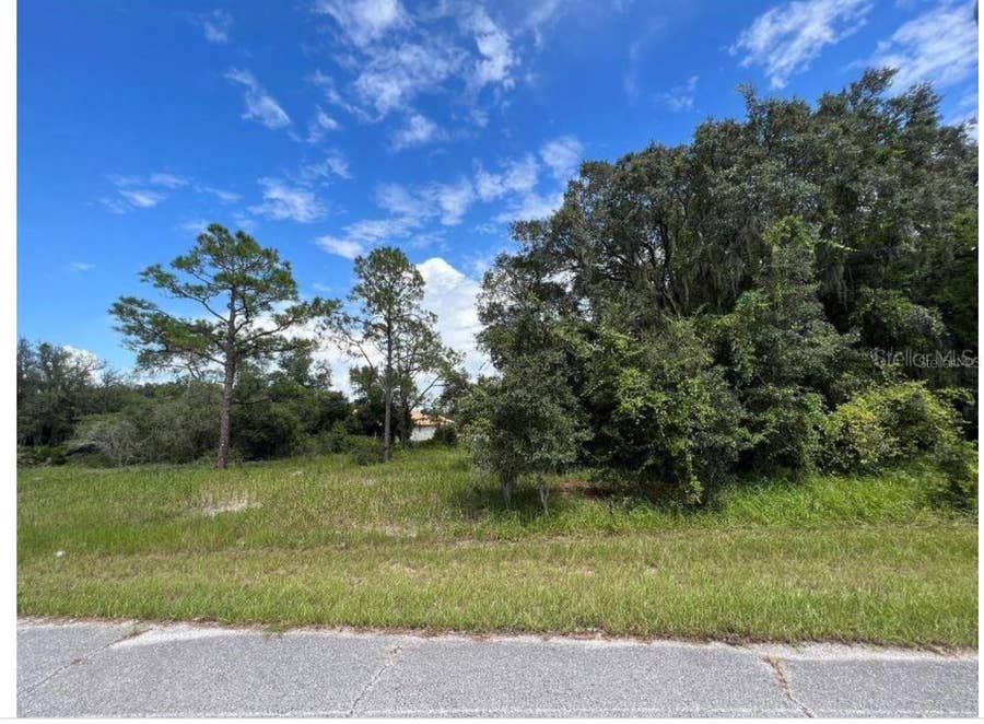 Property photo for 1336 HILLSBOROUGH COURT, Poinciana, FL