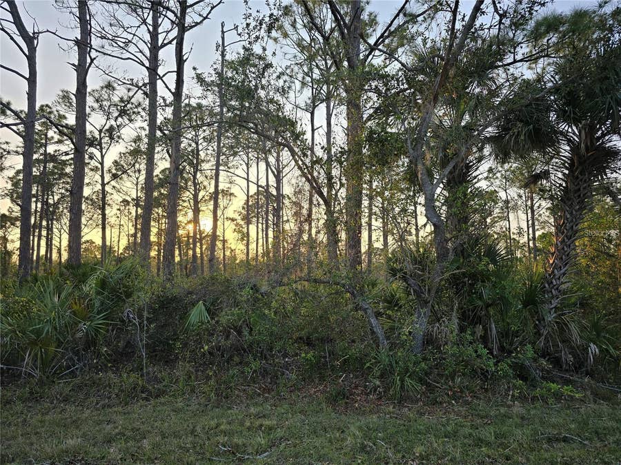 Property photo for 2497 HOOVER STREET, Port Charlotte, FL