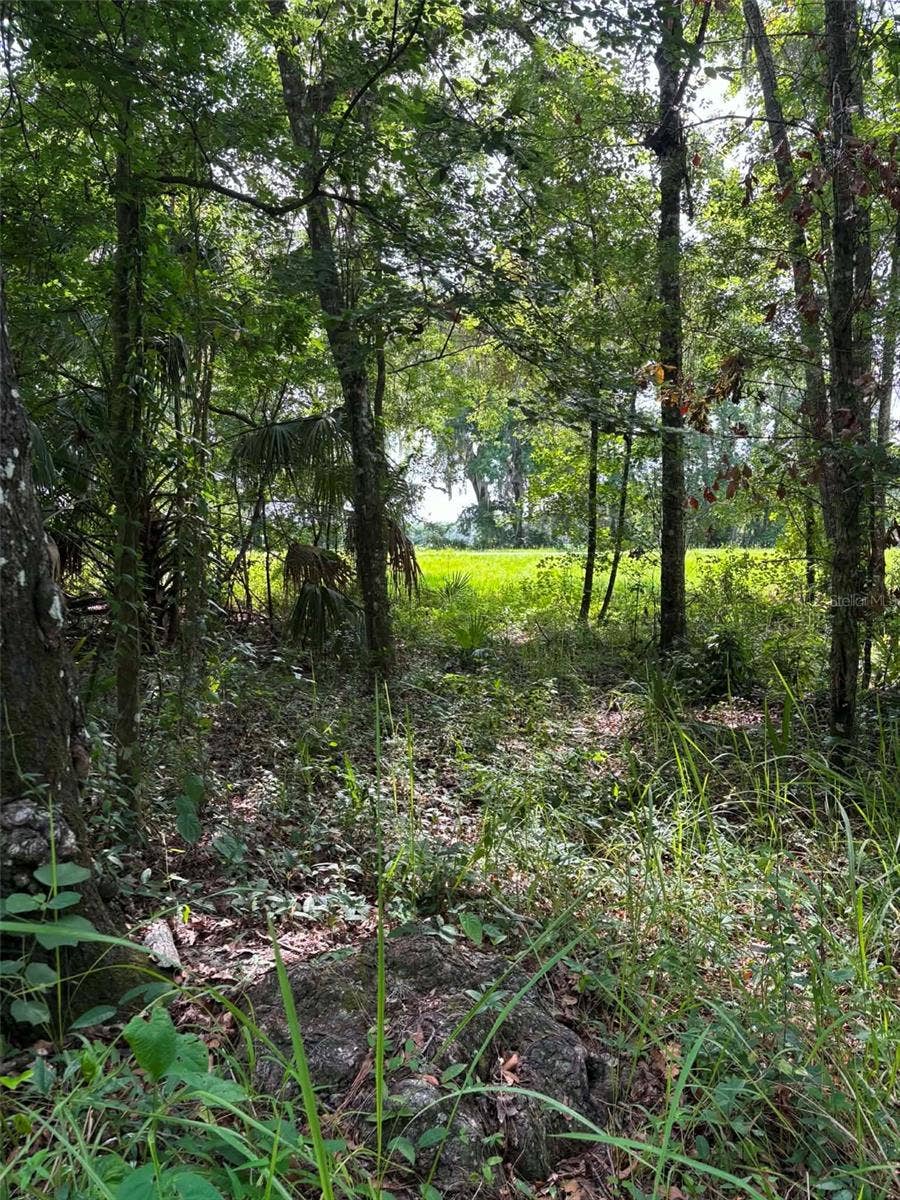 Property photo for 12168 PONCE DE LEON BOULEVARD, Brooksville, FL