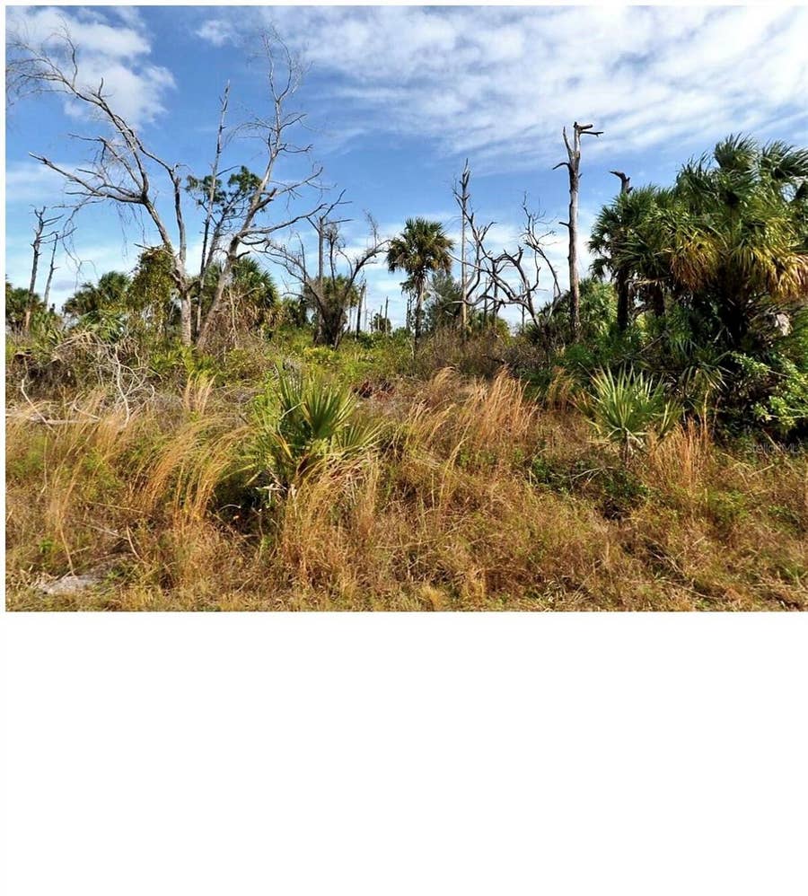 Property photo for 0 MENZLER STREET, North Port, FL