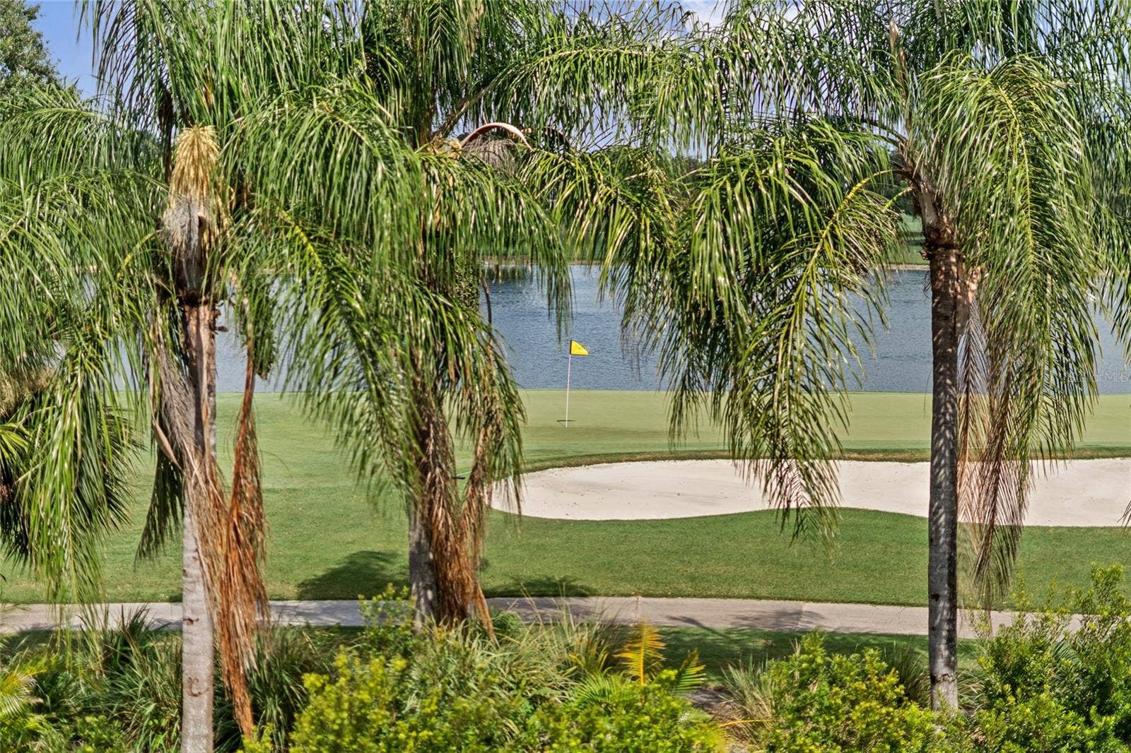 6159 HARBOUR TOWN COURT, Orlando, FL 32819 #11 Green