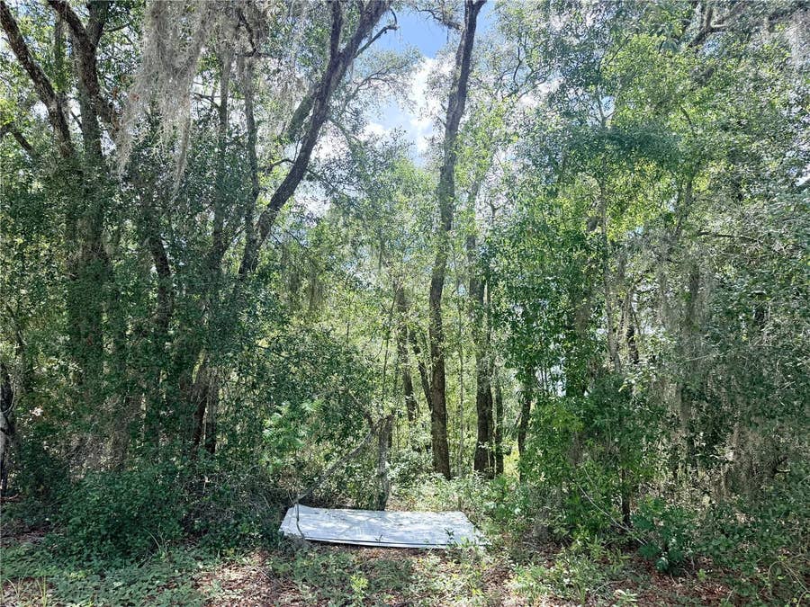 Property photo for 7932 N ELKCAM BOULEVARD, Citrus Springs, FL