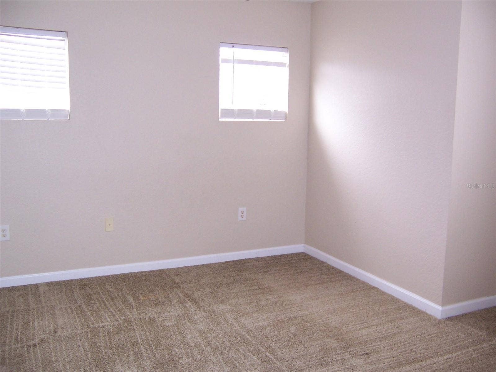 8631 GREENBANK BOULEVARD, Windermere, FL 34786 Very Nice Carpet