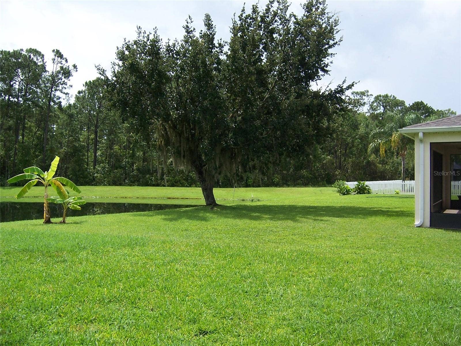 8631 GREENBANK BOULEVARD, Windermere, FL 34786 Open community back yard