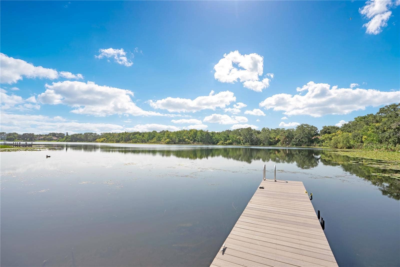 1927 S LAKEMONT AVENUE, Winter Park, FL 32792 Community dock