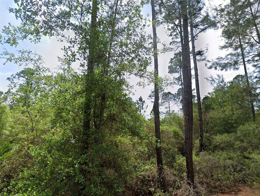 Property photo for 126 and 128 GRANDALE STREET, Georgetown, FL