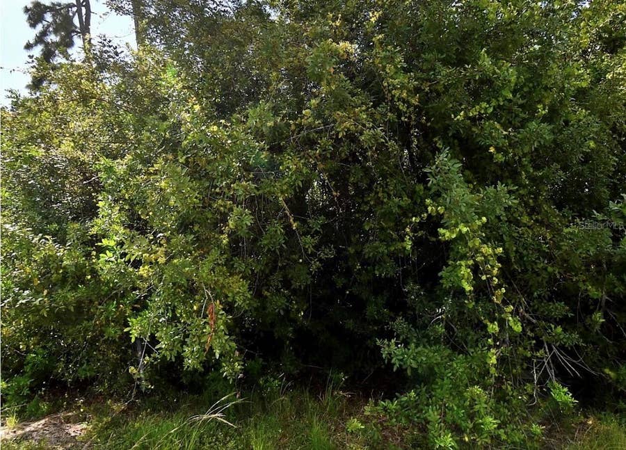 Property photo for MAP AVENUE, North Port, FL