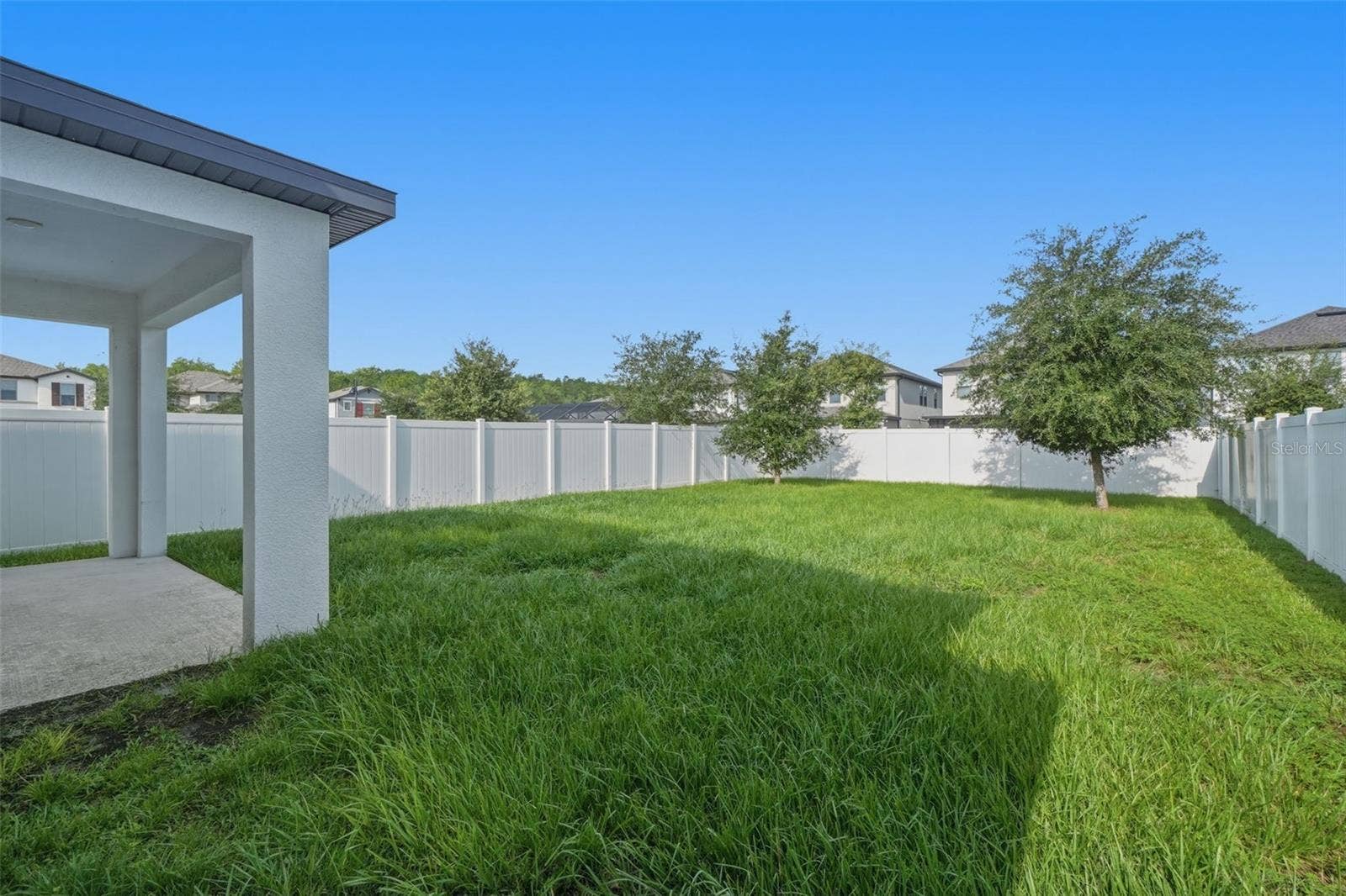 Expansive Yard
