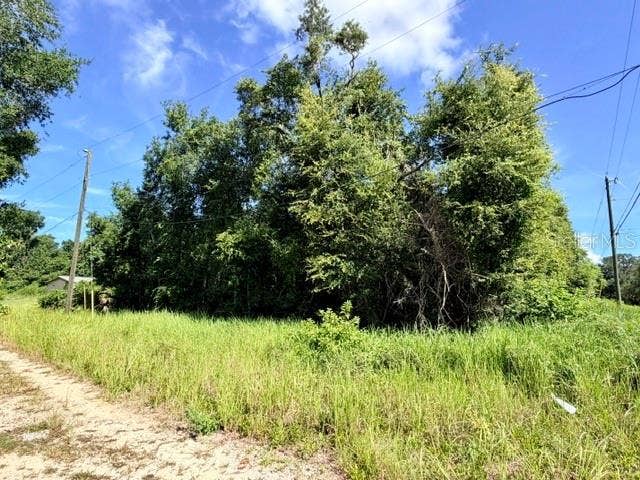 Property photo for NE 249TH COURT, Salt Springs, FL